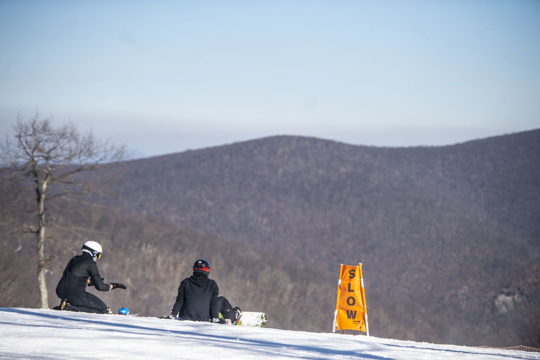 Wintergreen